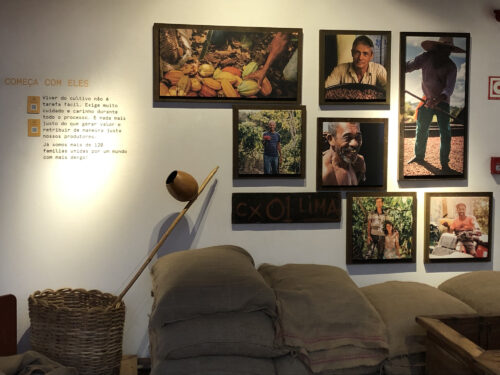 Bilder, die Menschen und den Ursprung der Kakaobohne zeigen.