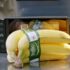 Bananen, die vor einem KAssenscanner liegen; copyright: ©Netto Marken-Discount Stiftung & Co. KG