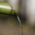 Water running out of a bamboo cane; copyright: panthermedia.net / piccaya