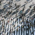 Viele Menschen laufen auf einer sehr breiten Straße über den Zebrastreifen, Aufnahme aus der Vogelperspektive
