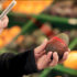 Schaubild einer mobilen vor-Ort Lebensmittelanalyse am Beispiel Avocado; Copyright: Fraunhofer IPMS
