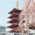 Chinese tower and cherry blossoms in the foreground; copyright: unsplash